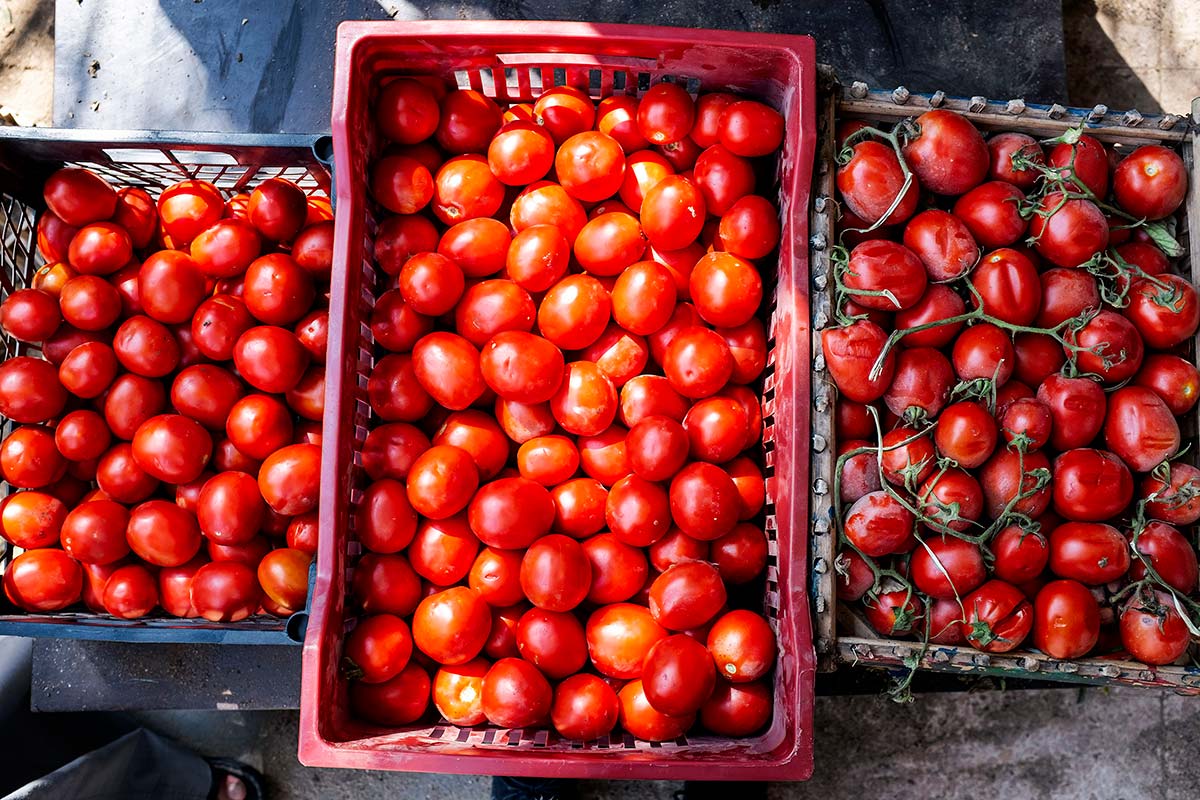 Crates of tomatoes. Photo ©FAO/Heba Khamis