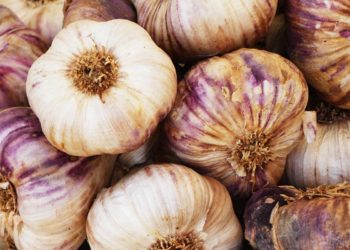 Garlic. Photo: Nick Fewings/Unsplash