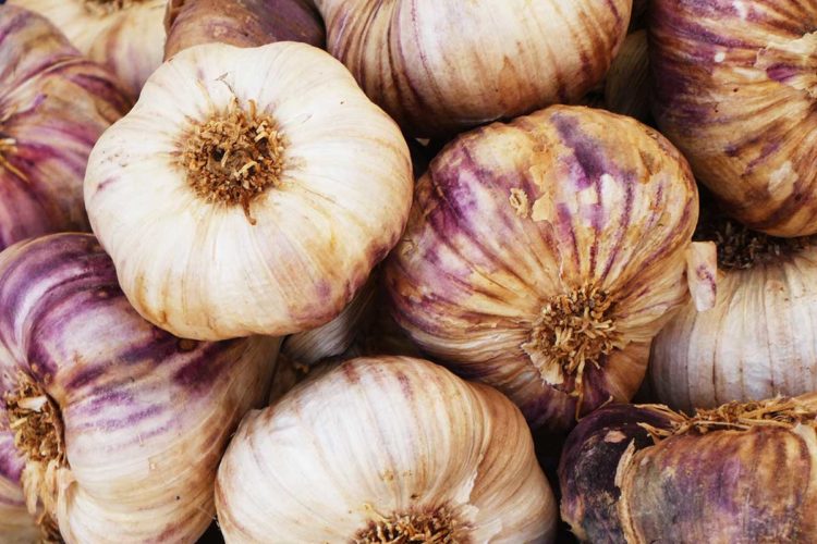 Garlic. Photo: Nick Fewings/Unsplash