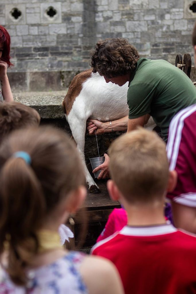 Education is to the fore with a mobile farm experience for children.