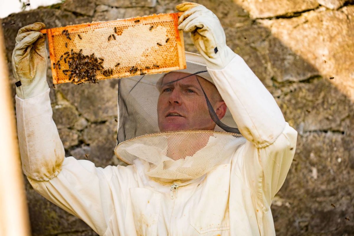 Francis Nesbitt, pictured on a beekeeping course in Kilkenny.