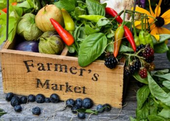 Farmes Market. Photo: Shelley Pauls/Unsplash