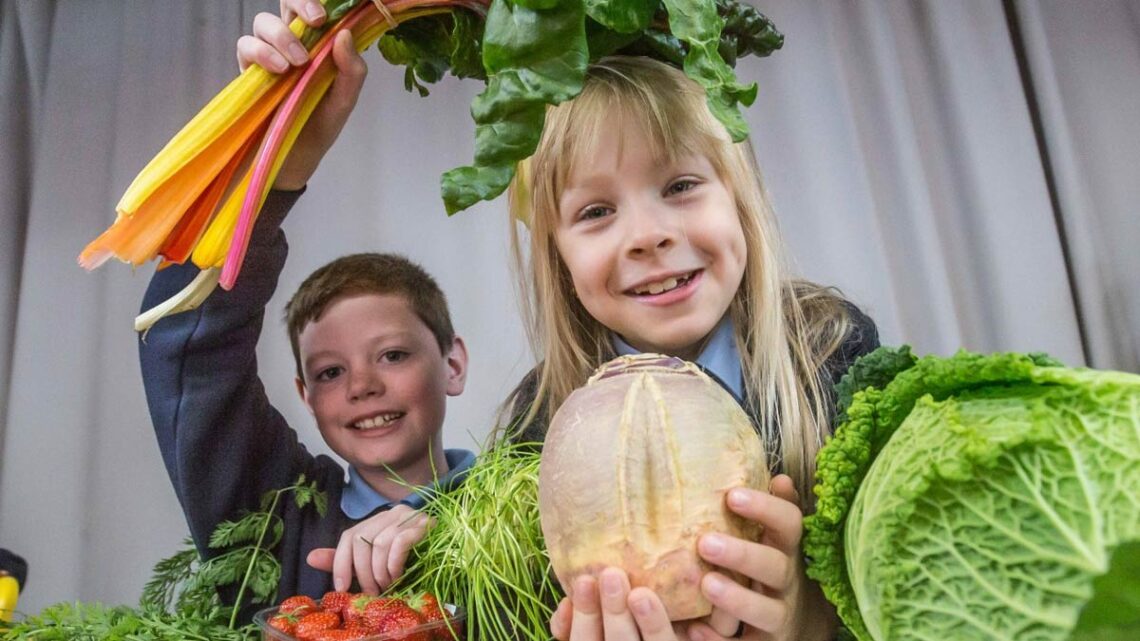 Students from St Patrick’s Primary School, Galway City at the launch of Incredible Edibles 2021.
