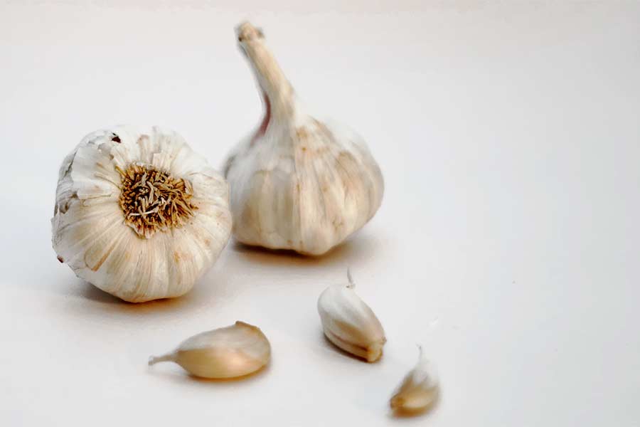 Garlic