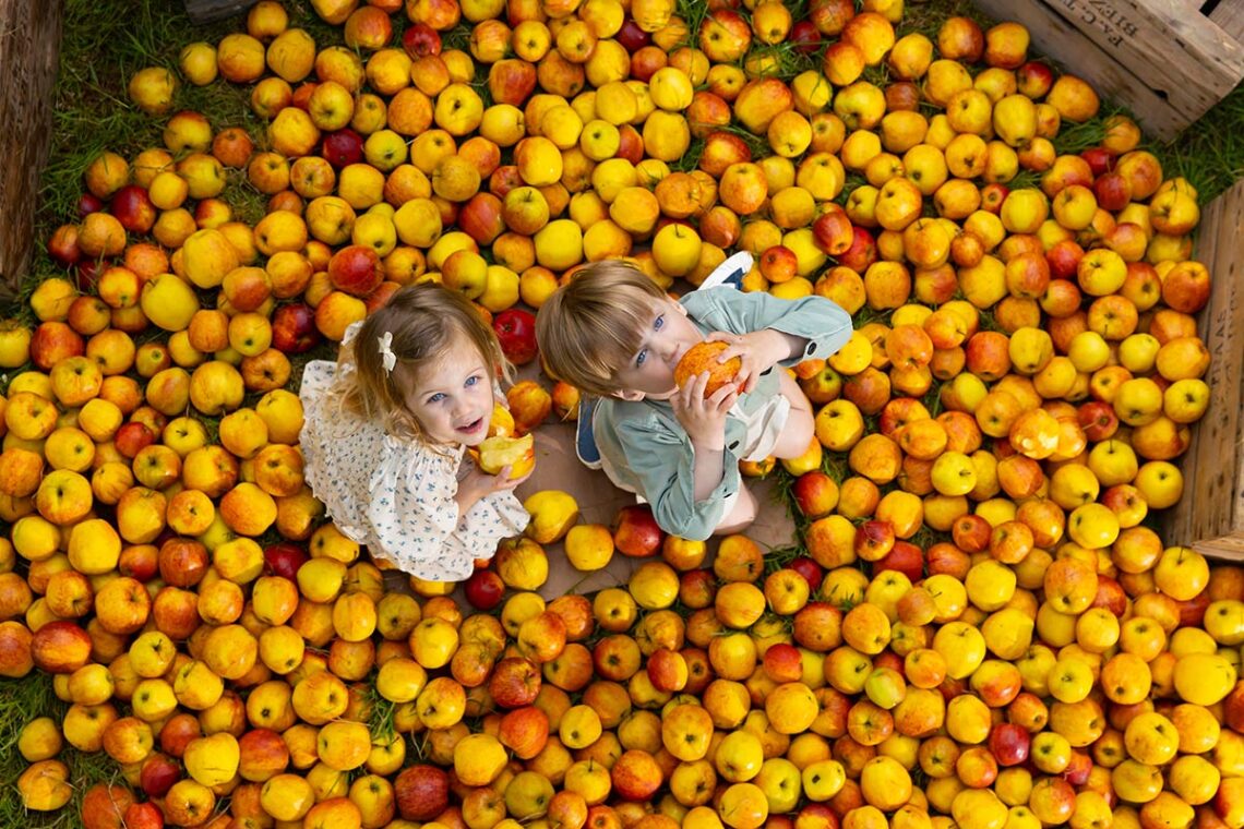 Twins Poppy & James Molloy help launch the 2023 Harvest Food Festival in Waterford. Photograph: Patrick Browne