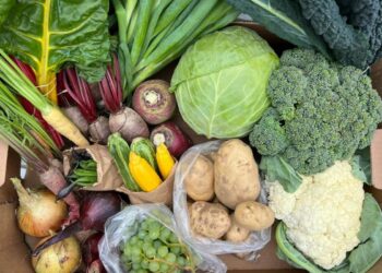 Knockdrinna vegetable box. Photo: @knockdrinnafarm/Instagram