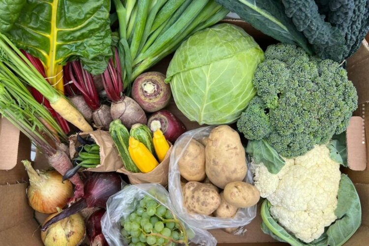 Knockdrinna vegetable box. Photo: @knockdrinnafarm/Instagram